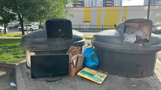 Рязанская область вошла в рейтинг по количеству мусора среди регионов