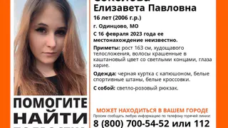 В Рязанской области ищут 16-летнюю девушку