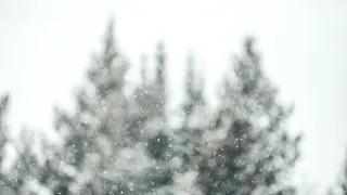 Облачно, небольшие осадки: какая погода ждет рязанцев на этой неделе?