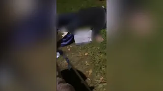 Жена застреленного в Рязани пристава Калужского рассказала, что не знала об угрозах