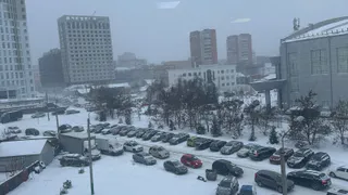 Губернатор Рязанской области рассказал о борьбе с загрязнением воздуха