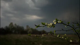 В Рязанской области 12 мая ожидается гроза и ветер до 18 м/с