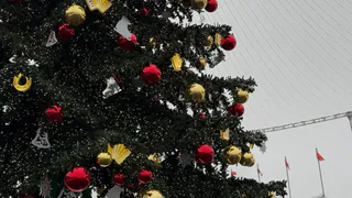 «Праздник для детей — вопросы для взрослых»: рязанцы обсуждают Губернаторские ёлки
