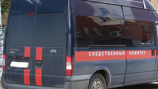 Рязанские следователи начали проверку строительства «площадки-призрака» в Лесопарке