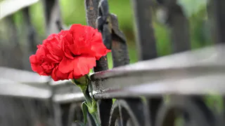 Волонтеры: пропавшую 87-летнюю рязанку нашли мёртвой