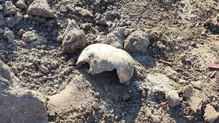 Рязанцы пожаловались на разрытые могилы на площади Свободы