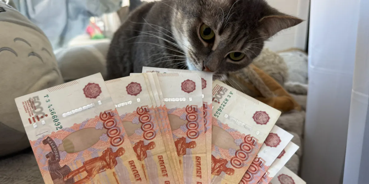 Рязанцам рассказали, на кого на сей раз нацелились мошенники