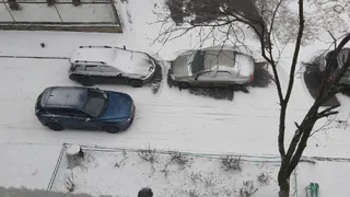 МЧС предупреждает: сегодня ожидается метель