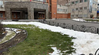 Март в Рязанской области начнется с потепления до +4