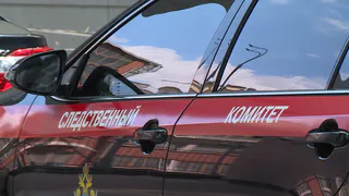 Глава СКР Бастрыкин взял на контроль проверку загрязнения рек под Рязанью