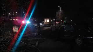 Рязанский водитель протаранил на "Волге" дерево
