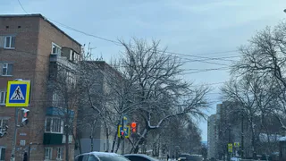 Появились подробности смертельного ДТП в Рязанской области 