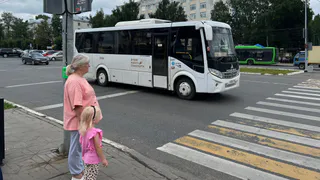 В Рязани проверят все "лежачие полицейские" после жалоб горожан