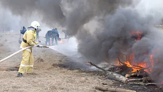 Площадь лесных пожаров в Рязанской области достигла 27 тысяч гектаров
