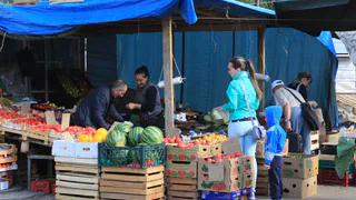 Две новые площадки для продуктовых ярмарок откроют в Рязани: названы адреса