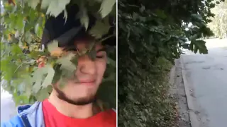 Получай по лицу! Как деревья на улице Быстрецкой в Рязани могут надавать пощечин, если вы рискнете пойти по тротуару