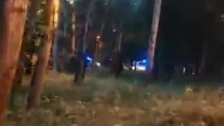 Полицейские помогли рязанке найти потерявшегося в парке 13 июня ребенка