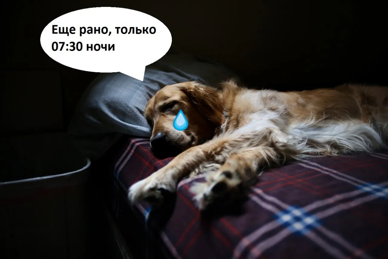 07:30 ночи. Как настроиться на работу, когда утром темно