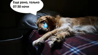 07:30 ночи. Как настроиться на работу, когда утром темно