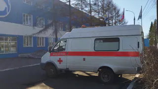 Заболевшие малярией и лихорадкой Денге приехали в Рязанскую область
