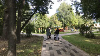 Тепло и без дождей: погода в Рязани на выходные