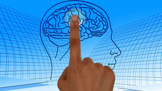Самый короткий тест на IQ: лишь 17% смогут ответить на вопросы верно