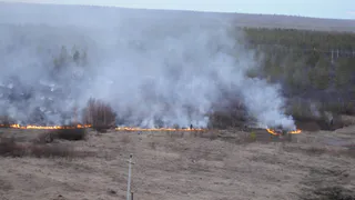 В Рязани подписан указ об отмене особого режима