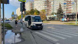 Рязанцы жалуются на грязные сиденья в маршрутках