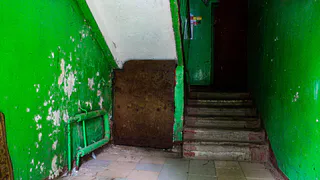 В подъезде дома в рязанской Дашково-Песочне заметили змею