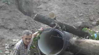 Родники в Карцевском лесу зальет канализацией