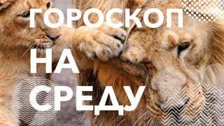 У Львов сегодня будет проблемный день