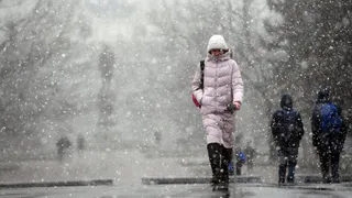 19 и 20 февраля в Рязанской области ожидается мощный снегопад