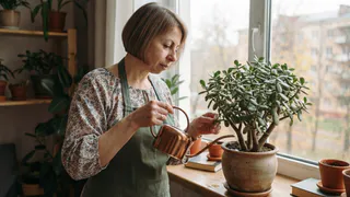 Не только денежное дерево: 6 растений, которые в разных странах считают символами богатства и удачи
