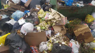 "Рядом с мусоркой бегают крысы": рязанец пожаловался на грязь в посёлке Мирный