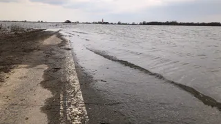 За сутки уровень воды в Оке вырос на 3 сантиметра
