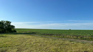 Сельскохозяйственную землю использовали для майнинга криптовалюты