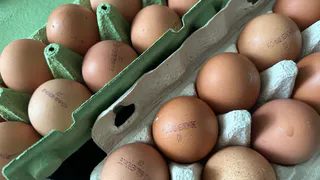 Куриные яйца не покупаю уже год: от этих продуктов советуют отказаться ученые. А мы их едим каждый день и детям даем