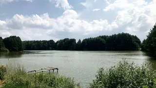 Недалеко от Рязани - участок под загородный дом в рассрочку