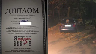 Я паркуюсь как судак: жительница Новомичуринска оригинально борется с неправильной парковкой