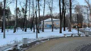 Накроют снежные бураны и морозы: синоптики назвали точную дату прихода зимы в России