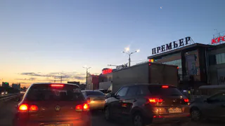 Сами придут на переговоры: Тамара Глоба рассказала, когда закончится военный конфликт