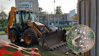 Дорожные рабочие вскрыли асфальт и наткнулись на человеческие останки