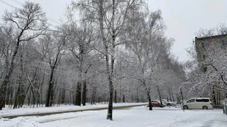 24 января в Рязани прогнозируют похолодание до -15°С