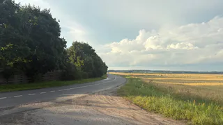 В Ряжском округе собрали больше 100 тысяч тонн зерна