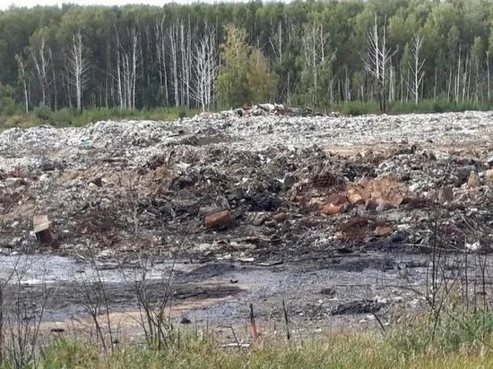 Малков заявил о намерении добиться полного закрытия мусорной свалки в Турлатове