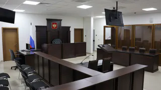 Жительницу Рязанской области оштрафовали за аппликации с Ежиком и Копатычем