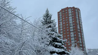 26 ноября в Рязанской области ожидается гололедица и до -7