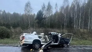 Под Рязанью при столкновении легковушки с грузовиком погибли двое