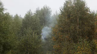 Бирюков заявил, что пожары в Рязанской области продолжатся несколько дней