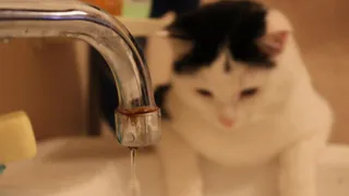 6 улиц Горрощи на день останутся без воды